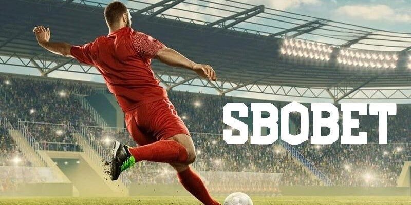 nn88 đăng nhập mậu binh uy tín
