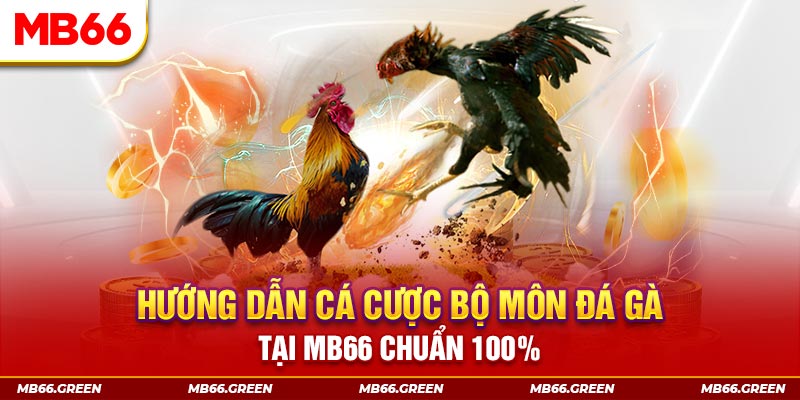 nn88 kết quả xổ số miền bắc ngày hôm nay