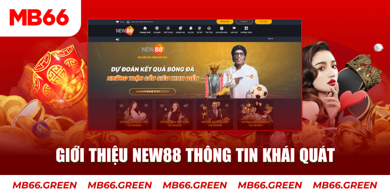 nn88 c1 gà chọi
