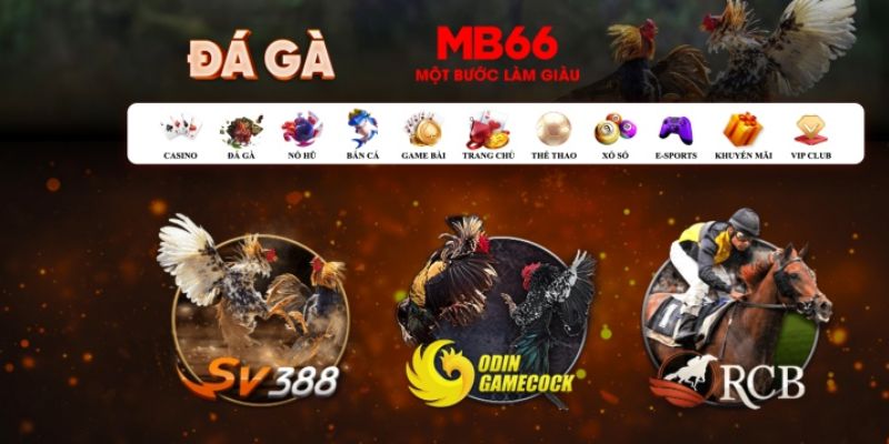 nn88 what is casino bonus wagering