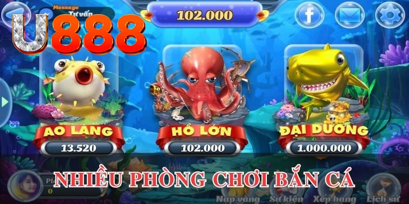 nn88 cá cược là gì