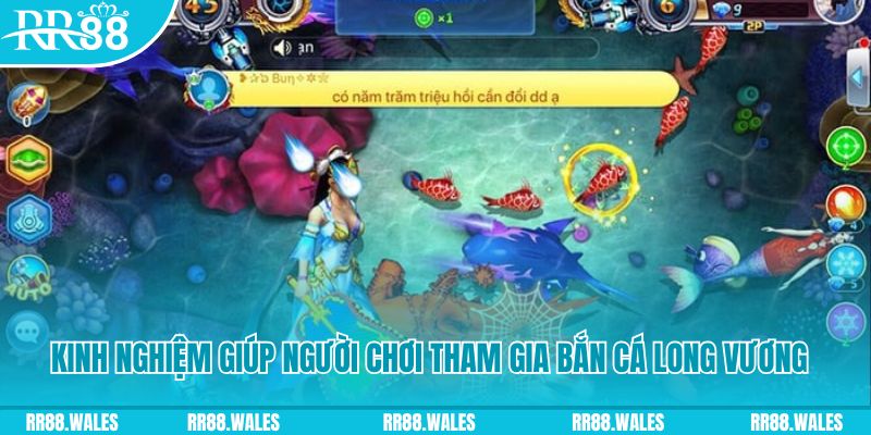 nn88 đăng nhập mậu binh rút tiền nhanh