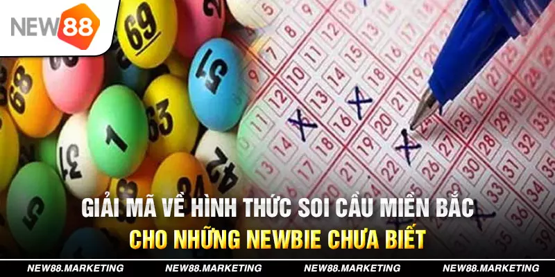 nn88 đăng nhập tiến lên miền nam miễn phí