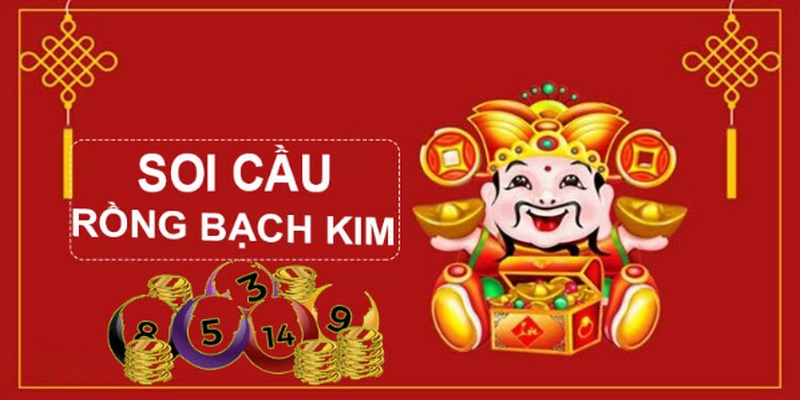 nn88 gà chọi