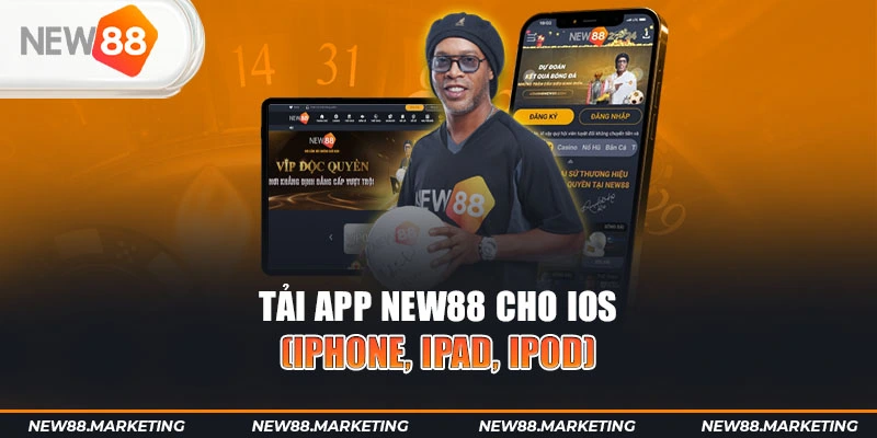 nn88 gà chọi cậu thanh
