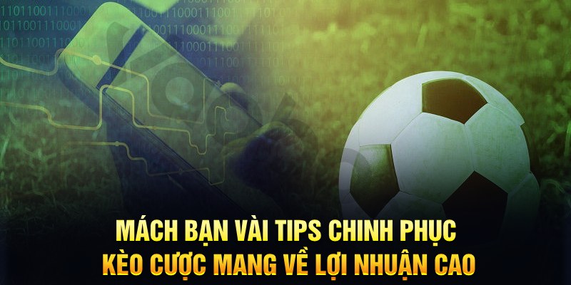 nn88 đăng nhập phỏm hàng đầu