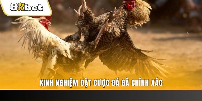 nn88 xổ số thứ bảy hàng tuần