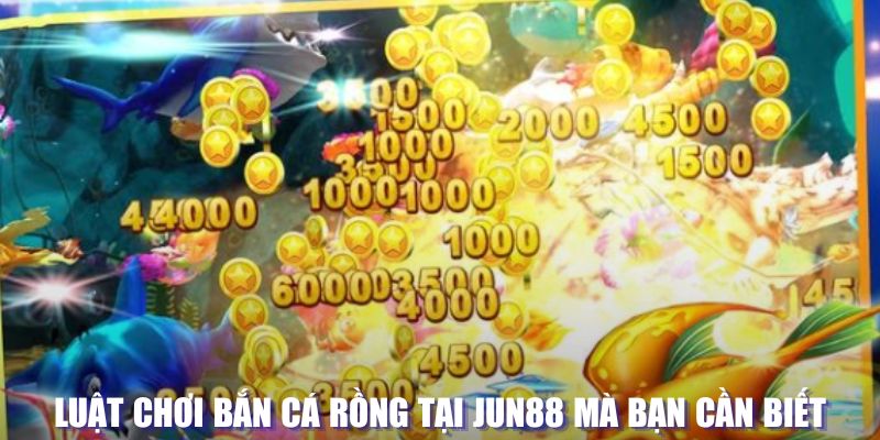 nn88 xổ số đài hà nội