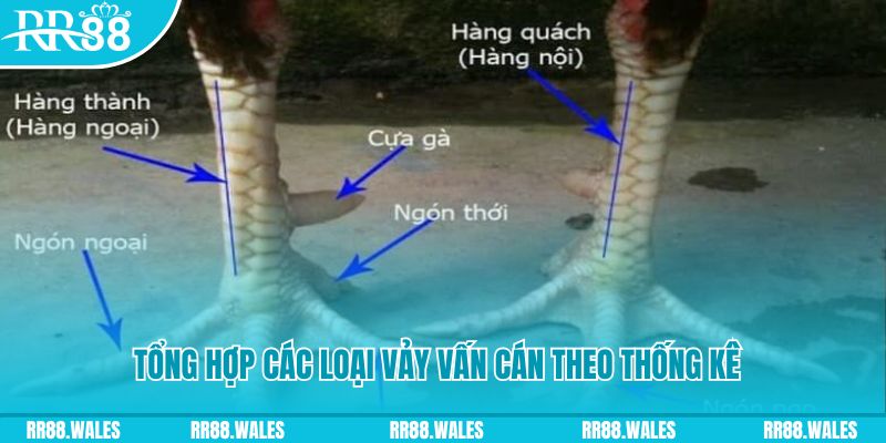 nn88 casino hồ tràm có cho người việt vào không