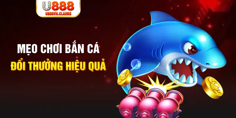 nn88 gà chọi cam ranh