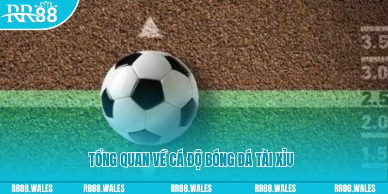 nn88 đăng nhập roulette online