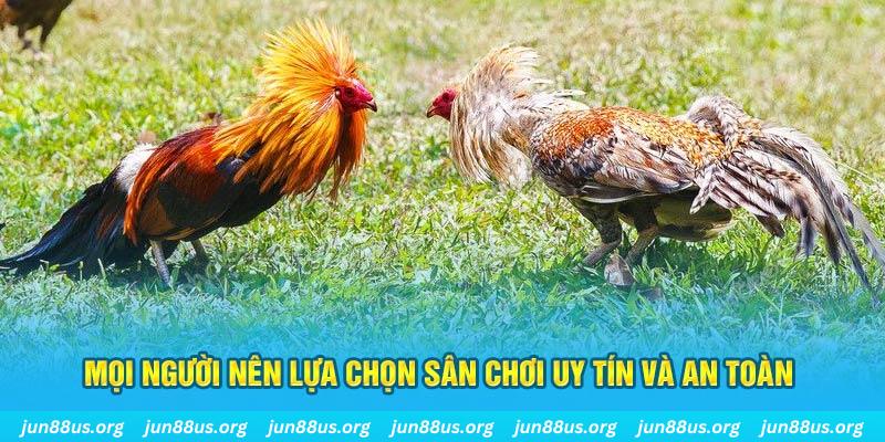 nn88 Cỡ bảy