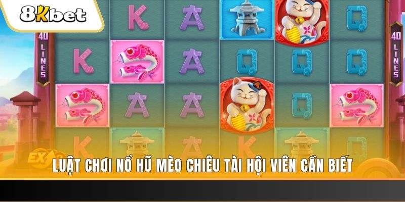 nn88 gà chọi cu cần