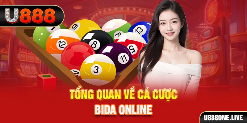 nn88 xem xổ số miền bắc