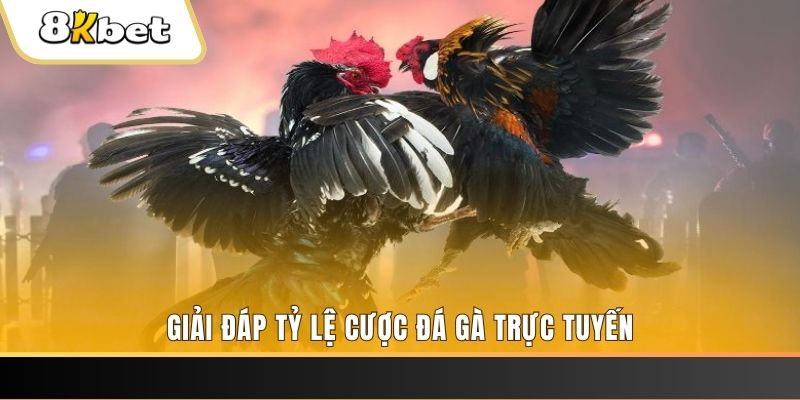 nn88 ban ca online