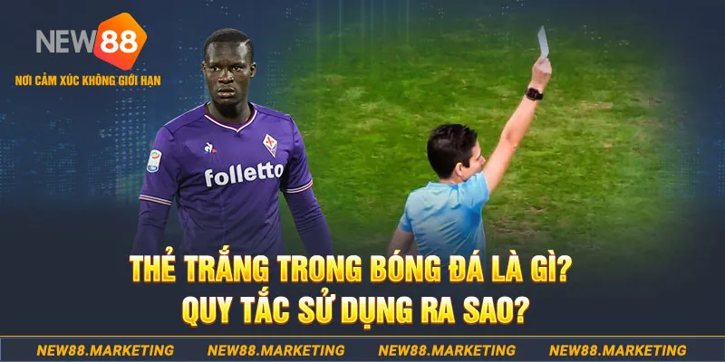nn88 đăng nhập sòng bạc hôm nay