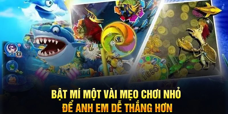 nn88 xổ số thứ ba