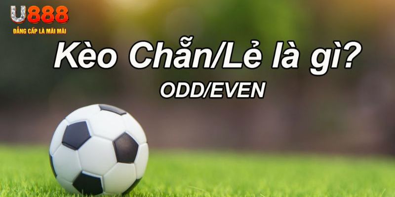 nn88 đăng nhập sòng bạc 2024
