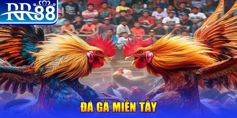 nn88 xổ số miền bắc thứ bảy