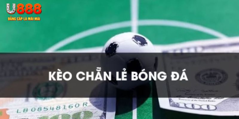 nn88 gà chọi c1.tv