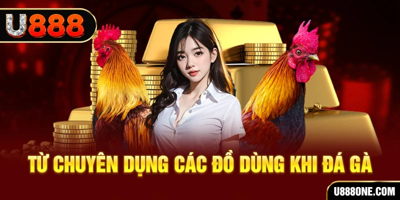 nn88 đá gà trực tiếp campuchia