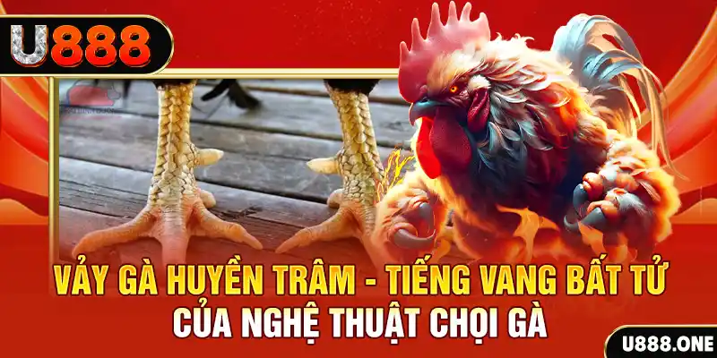 nn88 xổ số trực tiếp miền bắc